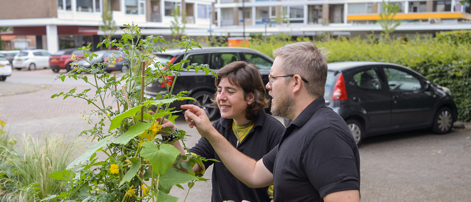 Dagbesteding Careflex Zorgcampus Breda